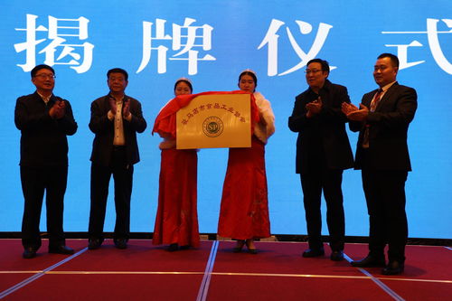 新聞資訊 駐馬店新聞 駐馬店廣視網