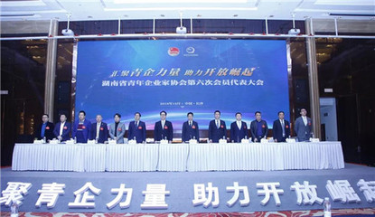 綠之韻胡均安副總裁當選湖南省青協副會長