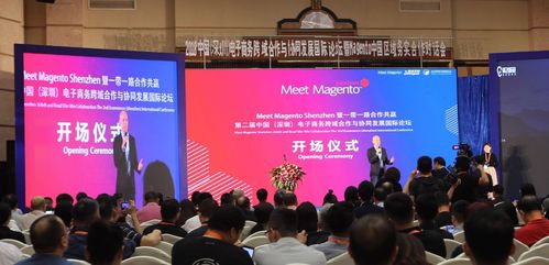 全球26國企業家齊聚第二屆中國 深圳 電子商務跨域合作與協同發展國際論壇